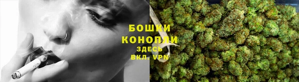 дмт Дмитров