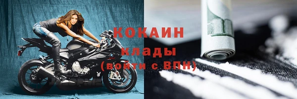 индика Дмитриев