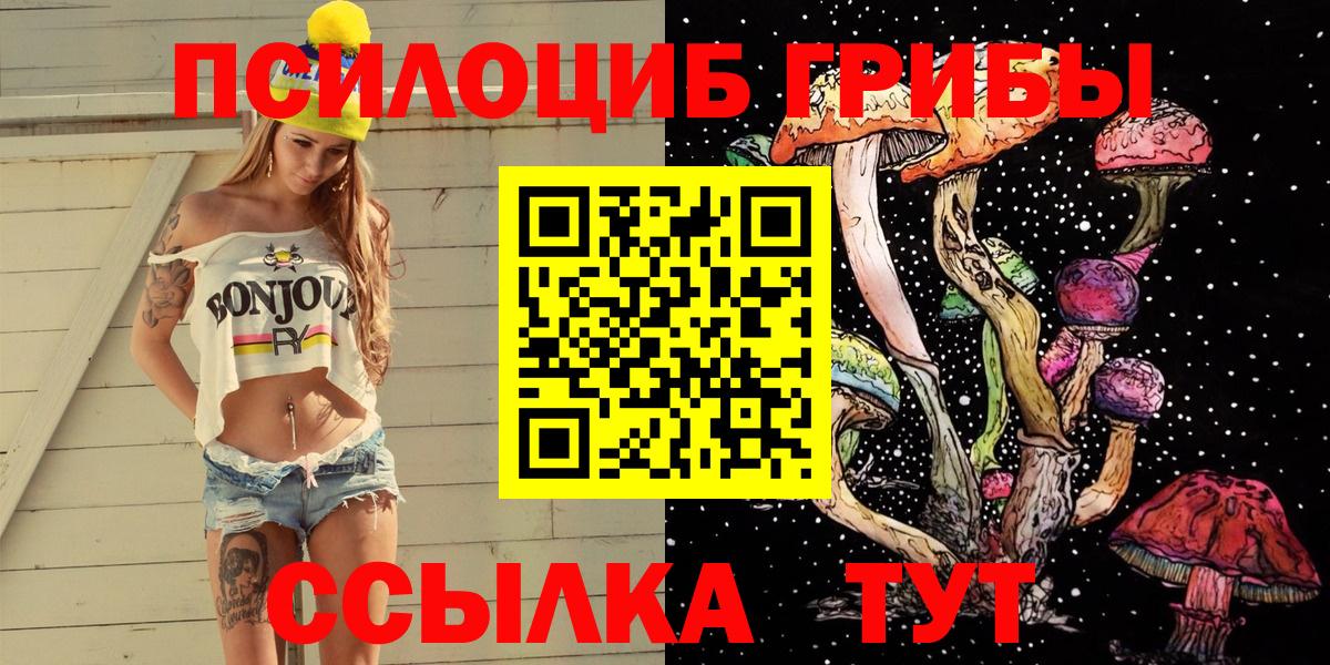 Псилоцибиновые грибы MAGIC MUSHROOMS Сланцы