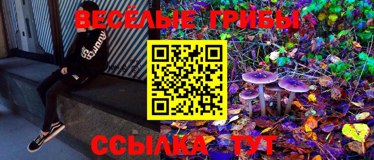 Сланцы  Псилоцибиновые грибы Magic Shrooms  наркота  Вход с VPN 