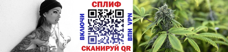 Бошки марихуана план  наркотики  Сланцы 